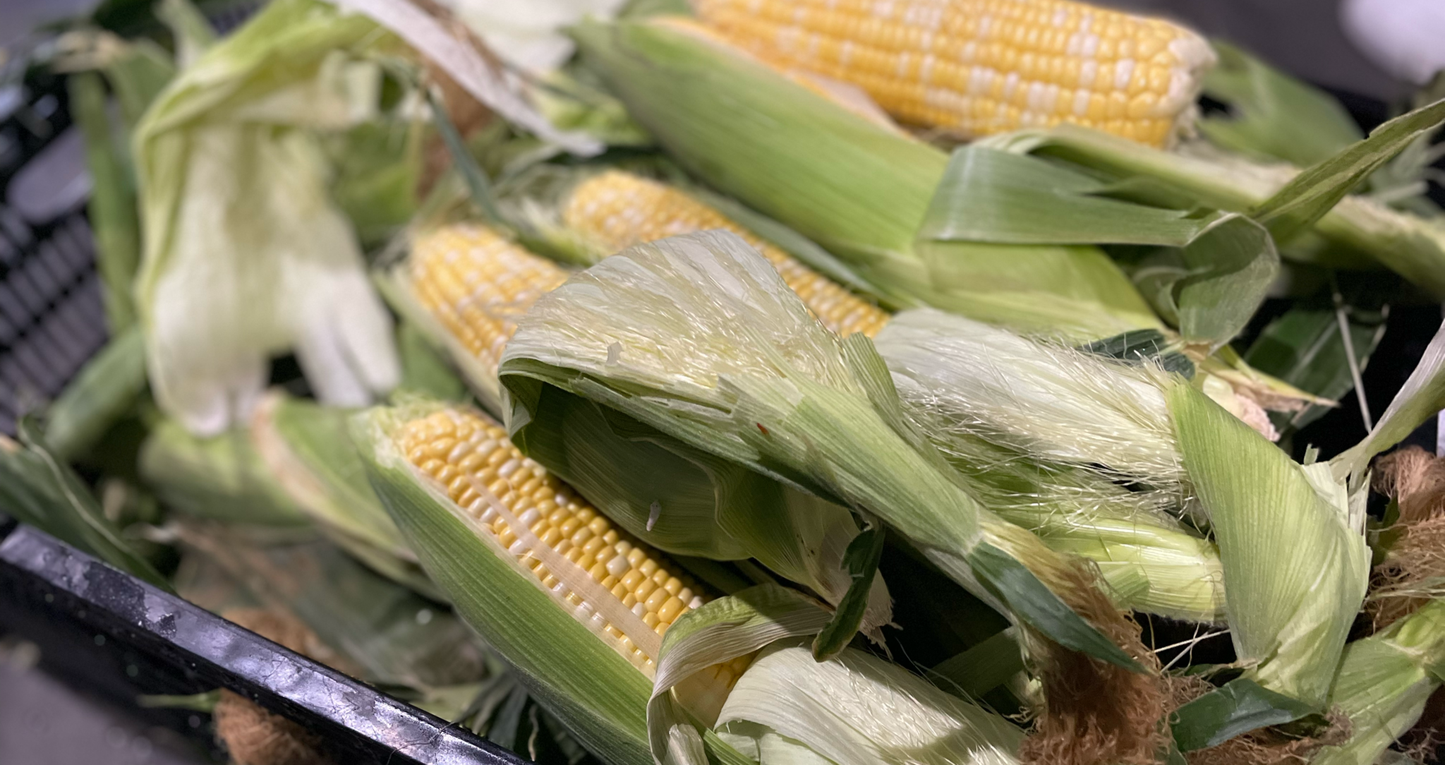 corn in a plastic crate