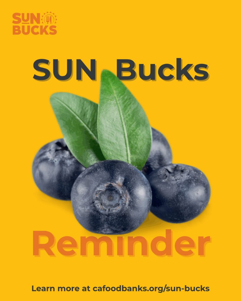image stating "SUN Bucks Reminder!" set on a yellow background, with 4 large blueberries in the center